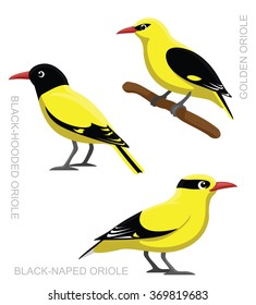 Bird Oriole Set Cartoon Vector Illustration