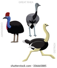 Bird Ostrich Set Cartoon Vector Illustration