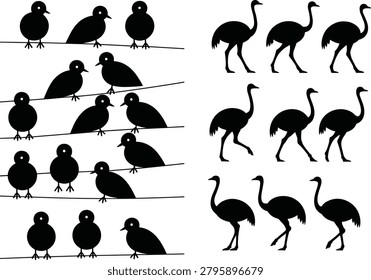 Bird and ostrich silhouette collection featuring perched small birds and walking flightless birds in black vector icon set.
