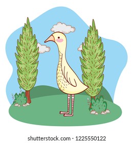 bird outdoors cartoon