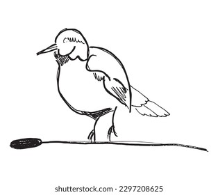 Bird outline illustration image. 
Hand drawn image artwork of bird. 
Simple cute original logo of a monochrome bird.
Hand drawn vector illustration for posters, cards, t-shirts.