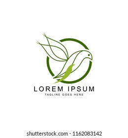 bird outline logo template