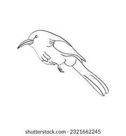 Bird outline vector for coloring book and tattoo design. Bird vector illustration