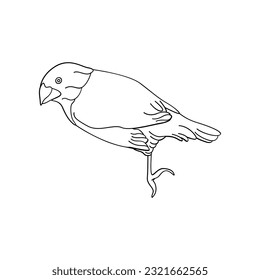 Bird outline vector for coloring book and tattoo design. Bird vector illustration