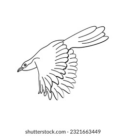 Bird outline vector for coloring book and tattoo design. Bird vector illustration