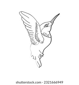 Bird outline vector for coloring book and tattoo design. Bird vector illustration