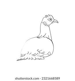 Bird outline vector for coloring book and tattoo design. Bird vector illustration