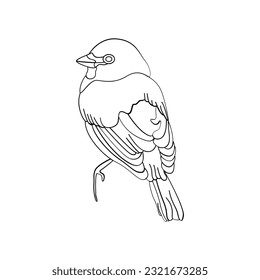 Vector de contorno de pájaro para el diseño de libro de coloreado y tatuaje. Ilustración del vector de aves