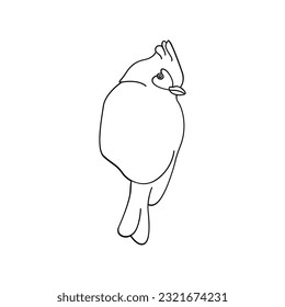 Vector de contorno de pájaro para el diseño de libro de coloreado y tatuaje. Ilustración del vector de aves