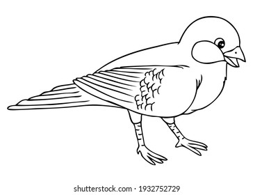 bird outline vector illustration isolated on white background, animals top view