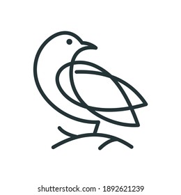 bird outline vector illustration template