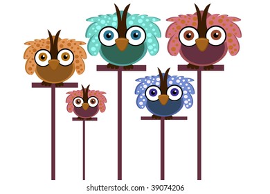 bird owl