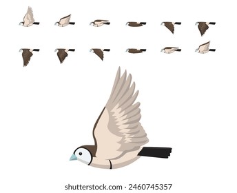 Bird Owl Finch Flying Animation Sequence Vector de dibujos animados