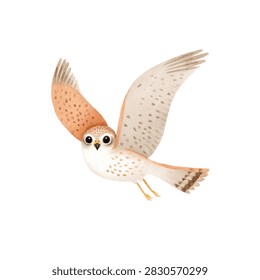 Bird owl flying with wings spread