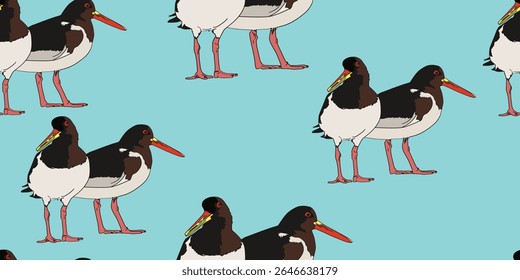 Bird Oystercatcher Set Cartoon Seamless Wallpaper Background