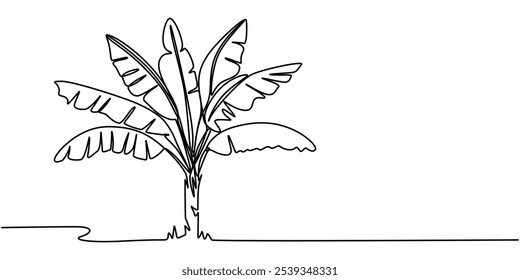 Pájaro del paraíso Dibujo de línea continua de hoja de plátano, Hojas de plátano con árbol de plátano Dibujo de línea continua, Dibujo de línea continua de hoja de plátano, Dibujo de árbol