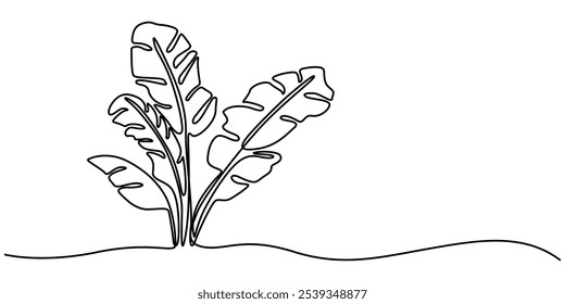 Pájaro del paraíso Dibujo de línea continua de hoja de plátano, Hojas de plátano con árbol de plátano Dibujo de línea continua, Dibujo de línea continua de hoja de plátano, Dibujo de árbol