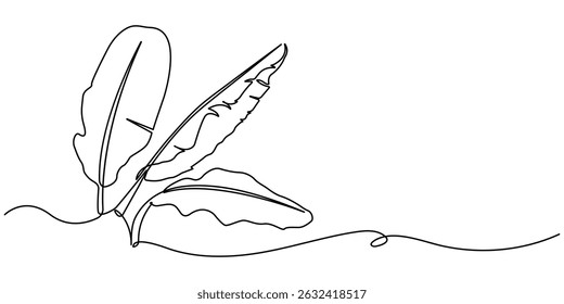 Bird of Paradise Banana Leaf Continuous Line Drawing. Palm leaf in one continuous line drawing. Outline leaf. Element for interior design pro. line art style vector illustration.