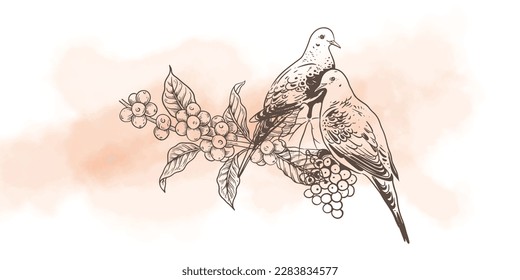 bird paradise and coffee of hand drawn ink drawing for label packaging. poster coffee and bird beautiful. art print watercolour