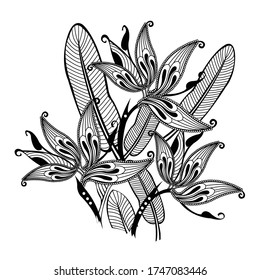 Vogelparadies, Zeichnen, Vektor, Illustration, Farbbuch, Linienkunst, zentangle, Tier, Vogelparadies Handzeichnung, Schwarz-Weiß-Bleistiftzulusterung auf weißem Hintergrund
