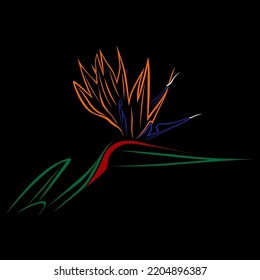 Bird Of Paradise floral line art is perfect for t-shirt and background designs and merchandise