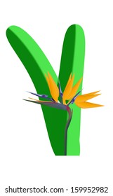 Bird of Paradise flower 