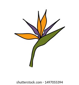 bird of paradise flower doodle icon, vector illustration