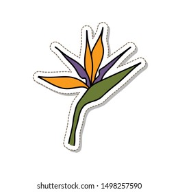bird paradise flower doodle
