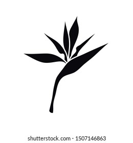 bird of paradise flower doodle icon, vector illustration
