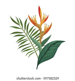 bird of paradise flower and leaves palm
