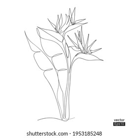 Bird of paradise flower flower line continuous. Minimalist art. One line drawing. Continuous line drawing. Vector illustration,vector illustration for for t-shirt, cup and printing.