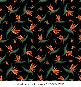 Bird of Paradise Flower. Seamless Pattern