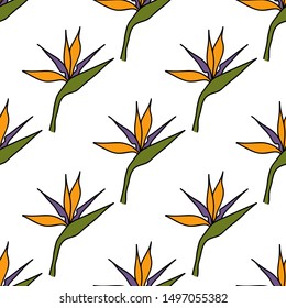 bird of paradise flower seamless pattern, vector illustration