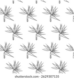Bird of paradise flower Seamless Pattern Hand drawn vector line art, Black and White Flower isolated in white. Beautiful design for textile, wallpaper, wrapping paper and backgrounds