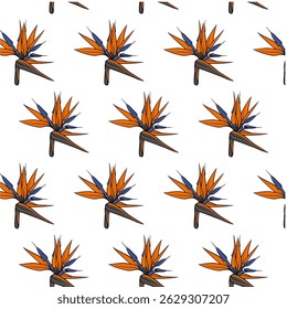 Bird of paradise flower Seamless Pattern Hand drawn vector line art,Multi Colour Flower isolated in white. Beautiful design for textile, wallpaper, wrapping paper and backgrounds