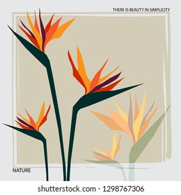 Bird of paradise flower. Tropical plant for your design. Exotic flower. Botanical background. 