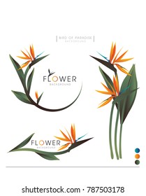 The Bird Of Paradise Flower Vector Logo Background