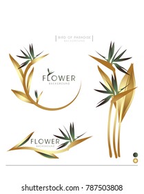 The Bird of Paradise flower vector logo background
