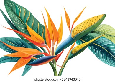 Bird of paradise flower watercolor art illustration