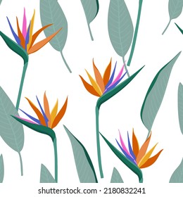 Bird of paradise flowers seamless pattern