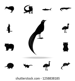 bird of paradise icon. Detailed set of Australian animal silhouette icons. Premium graphic design. One of the collection icons for websites, web design, mobile app