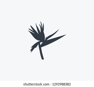 Bird of paradise icon isolated on clean background. Bird of paradise icon concept drawing icon in modern style. Vector illustration for your web mobile logo app UI design.