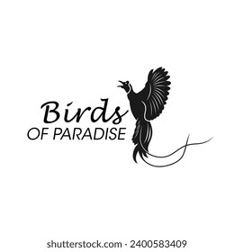bird of paradise illustration logo design