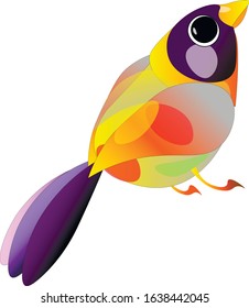 bird of paradise bird of the jungle