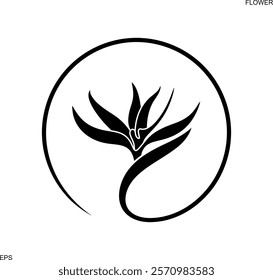 Bird of Paradise logo. Isolated bird of paradise on white background