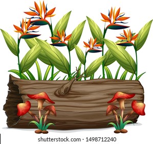 Bird of paradise and mushrooms on white background illustration