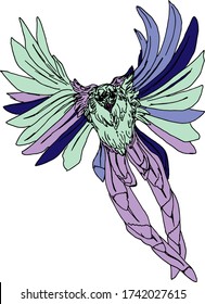 Bird of paradise on a white background. Bird coloring vector blank for the designer