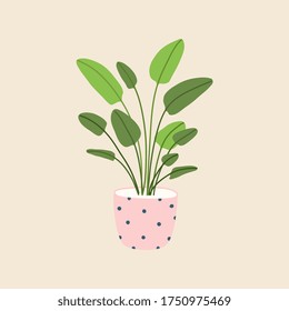 Bird of paradise plant in flowerpot. Houseplant isolated. Trendy hugge style, urban jungle decor. Hand drawn sketch, naive art. Print, poster, banner. Logo, label. Green, blue, pink, black colors.