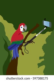 a bird of paradise taking a picture of itself, its trying to hold the camera with its feet