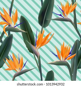 Bird of paradise tropical flower vector seamless pattern.  Fresh african crane flower or strelitzia reginae blossom floral textile pattern. Jungle leaves, paradise tropical plant background.